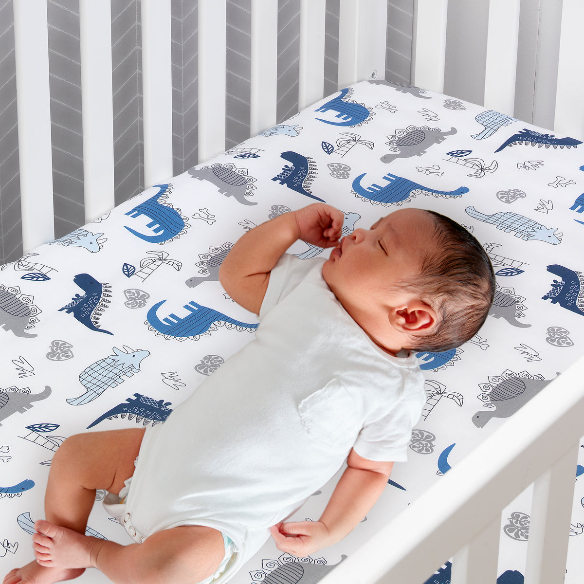 Baby Dino 6 Piece Crib Bedding Set