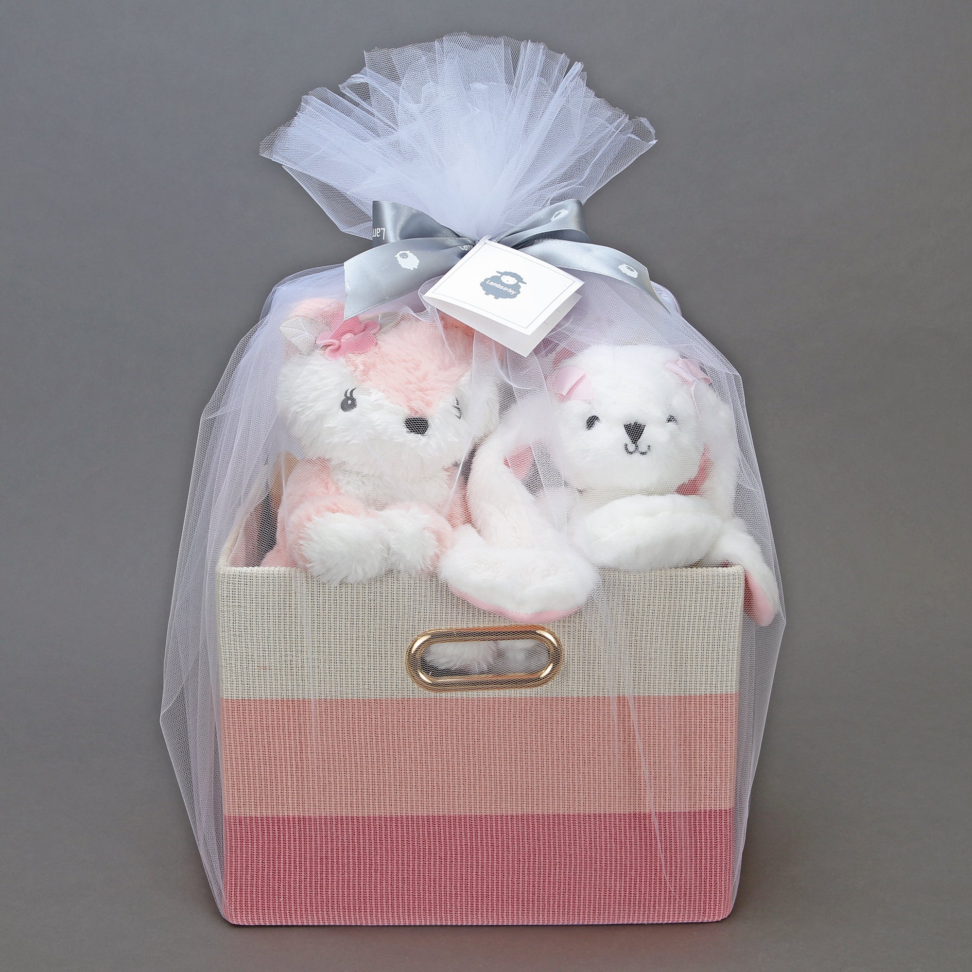 Pink/White 5-Piece Luxury Infant Newborn Baby Gift Basket
