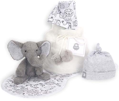Top 10 Newborn Gift Ideas that Parents Will Love