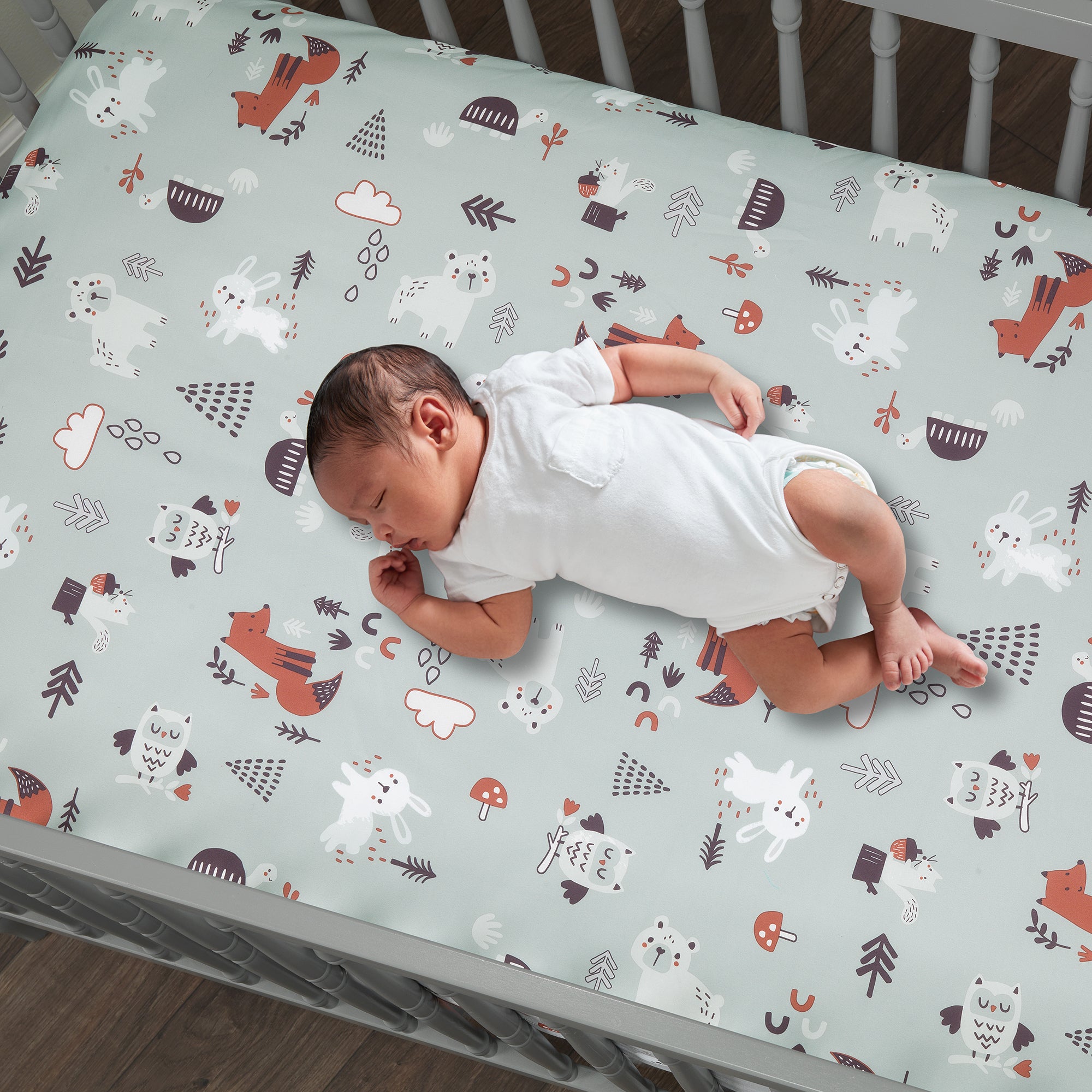 Animal Alphabet 5-Piece Crib Bedding Set by Bedtime Originals