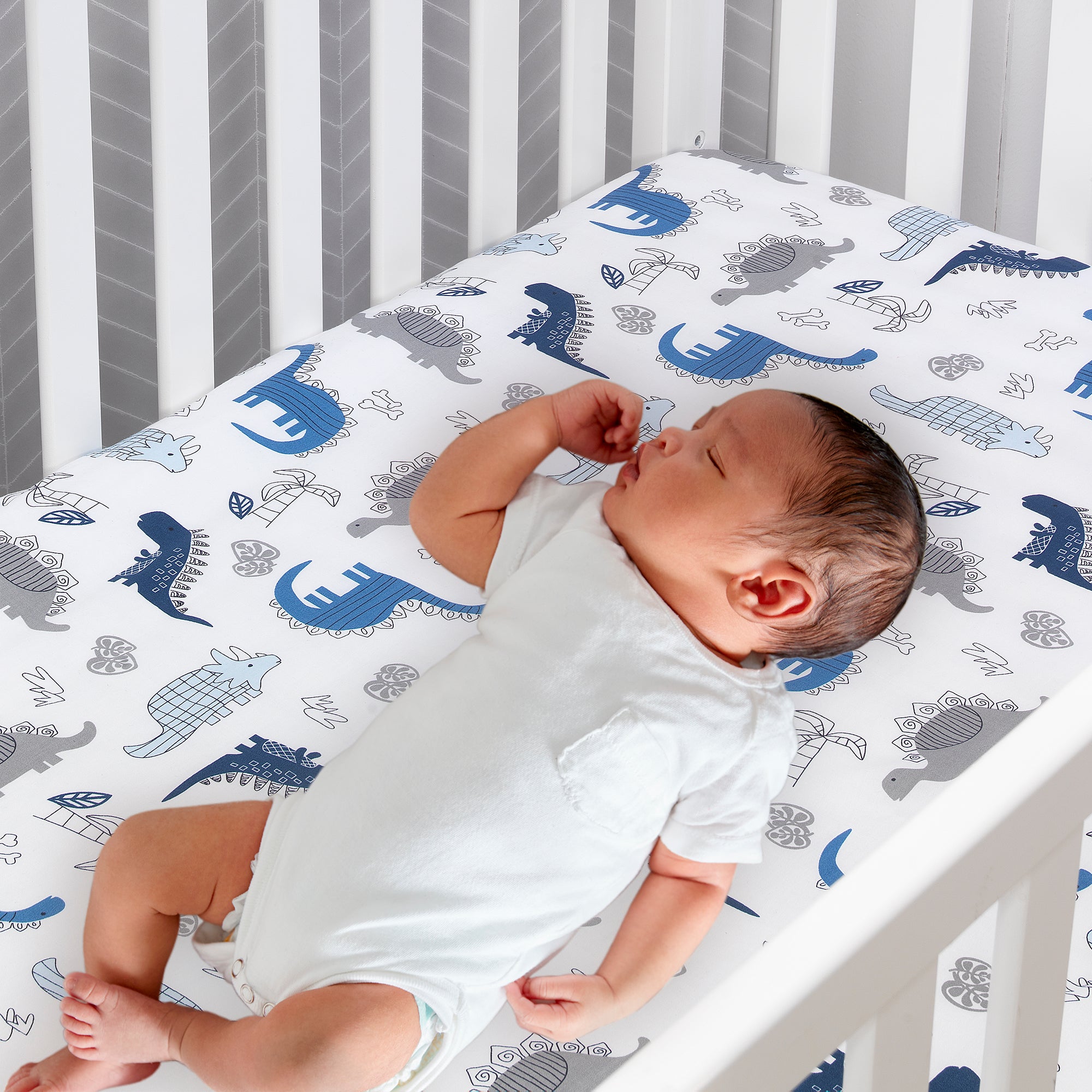 Baby Dino Blue/White Dinosaur Nursery 6-Piece Crib Bedding Set