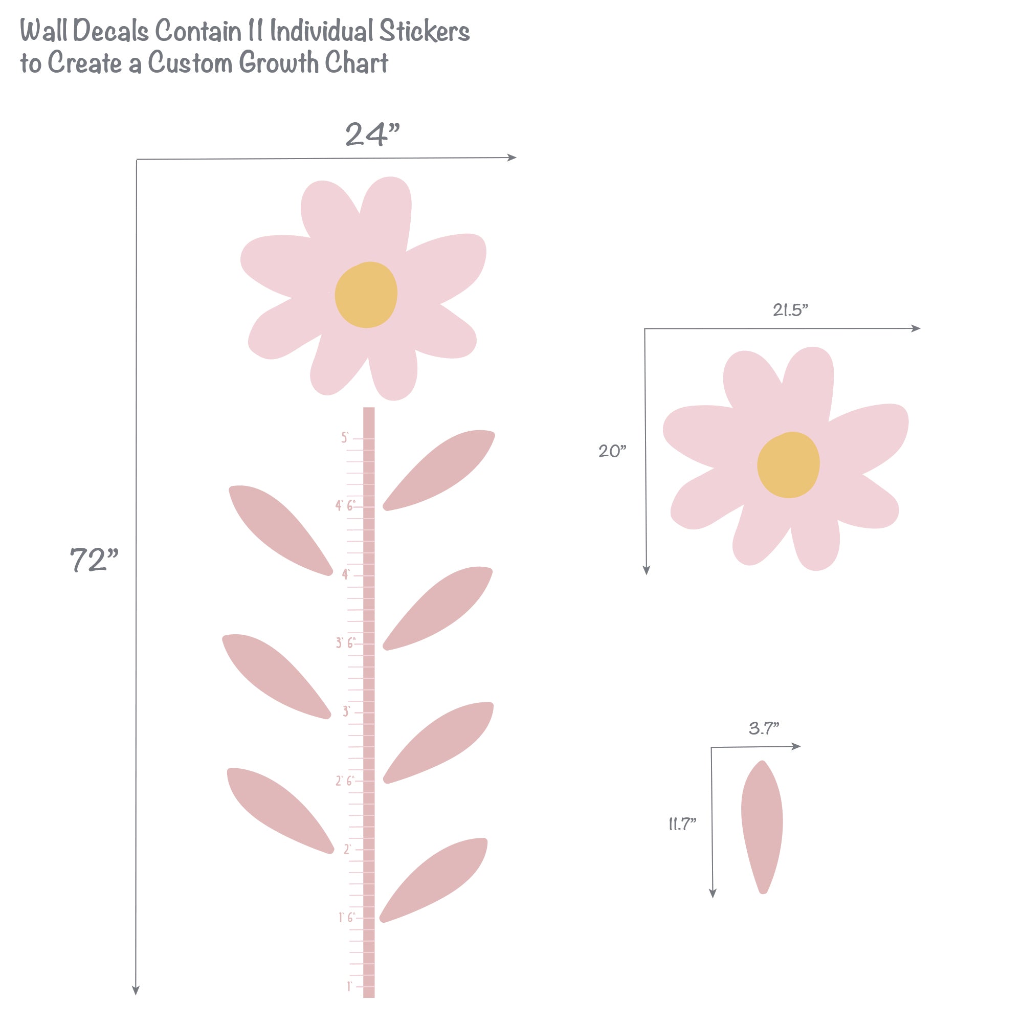 Daisy Dreams Growth Chart by Lambs & Ivy