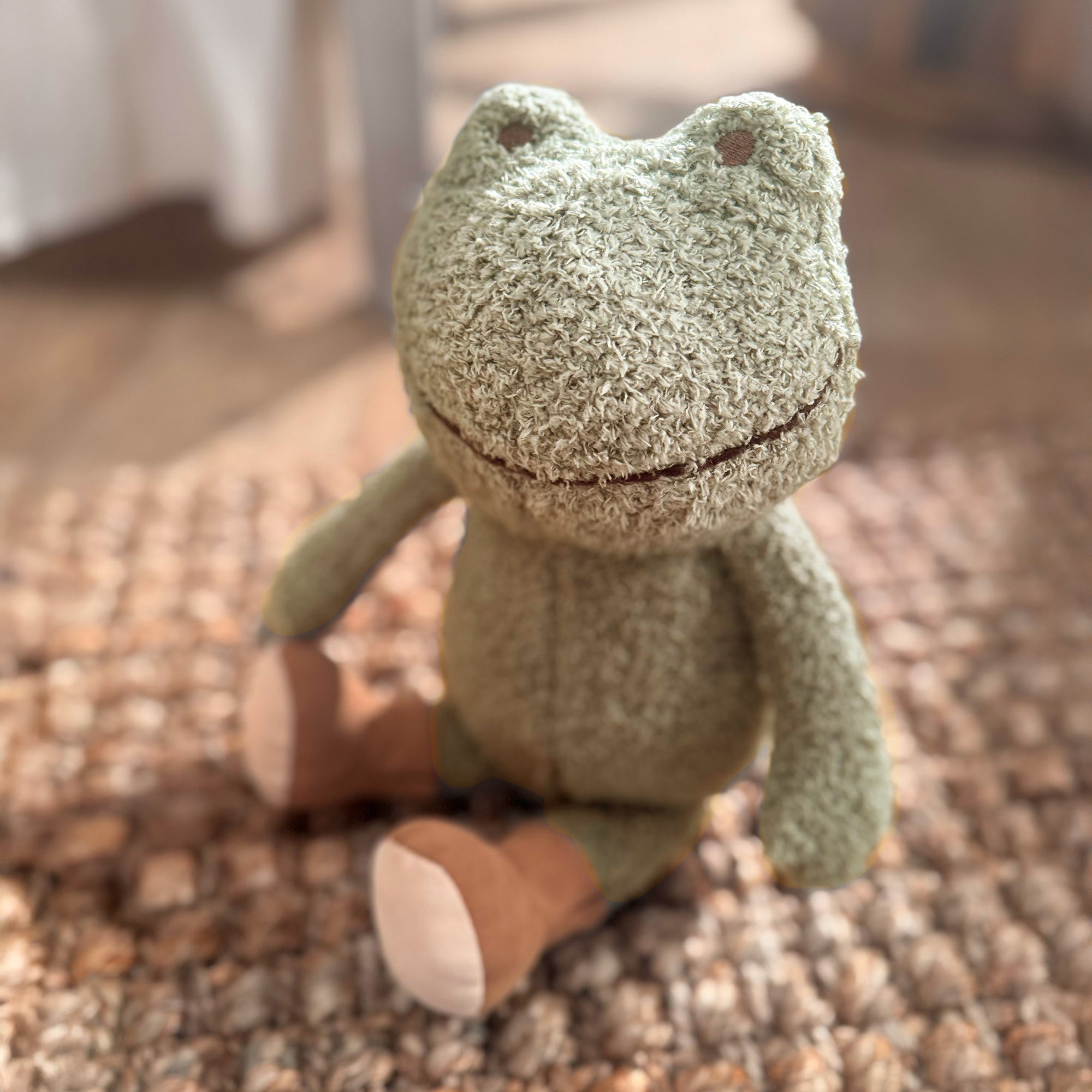 Froggy Plush Frog by Lambs & Ivy
