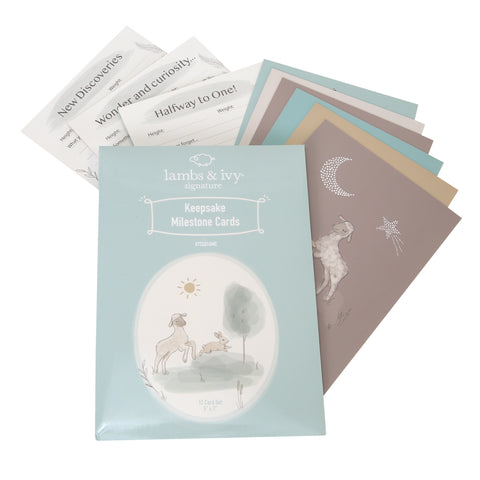 Baby Keepsake Milestone Cards by Lambs & Ivy