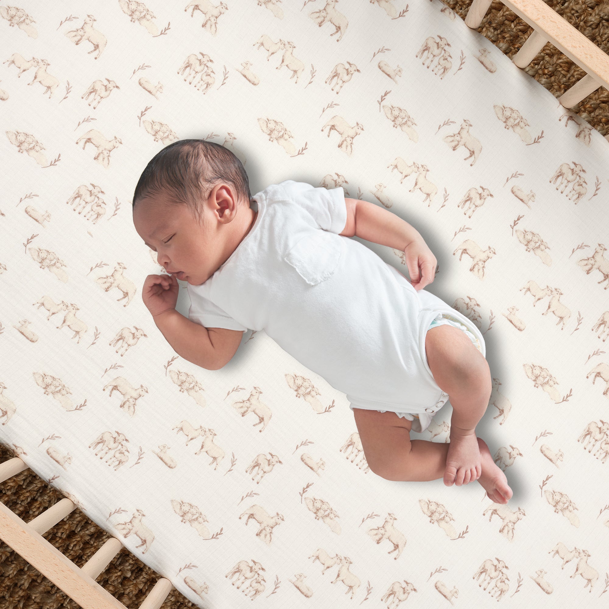 Signature Organic Cotton Lamb Fitted Crib Sheet by Lambs & Ivy