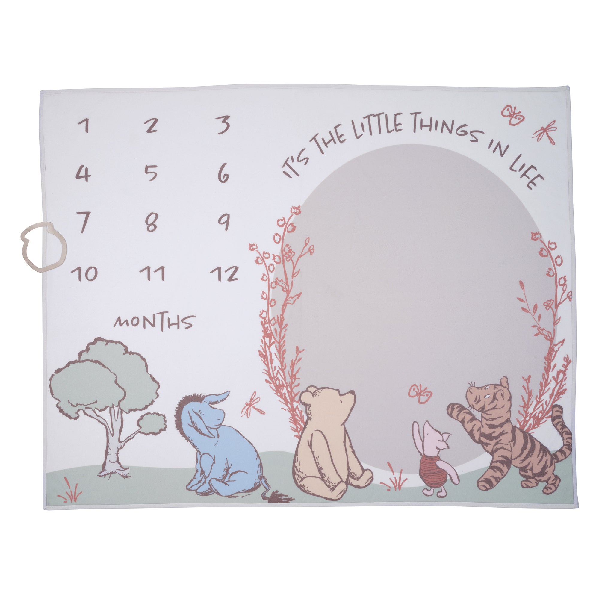 Pooh Bear & Pals Milestone Baby Blanket by Lambs & Ivy