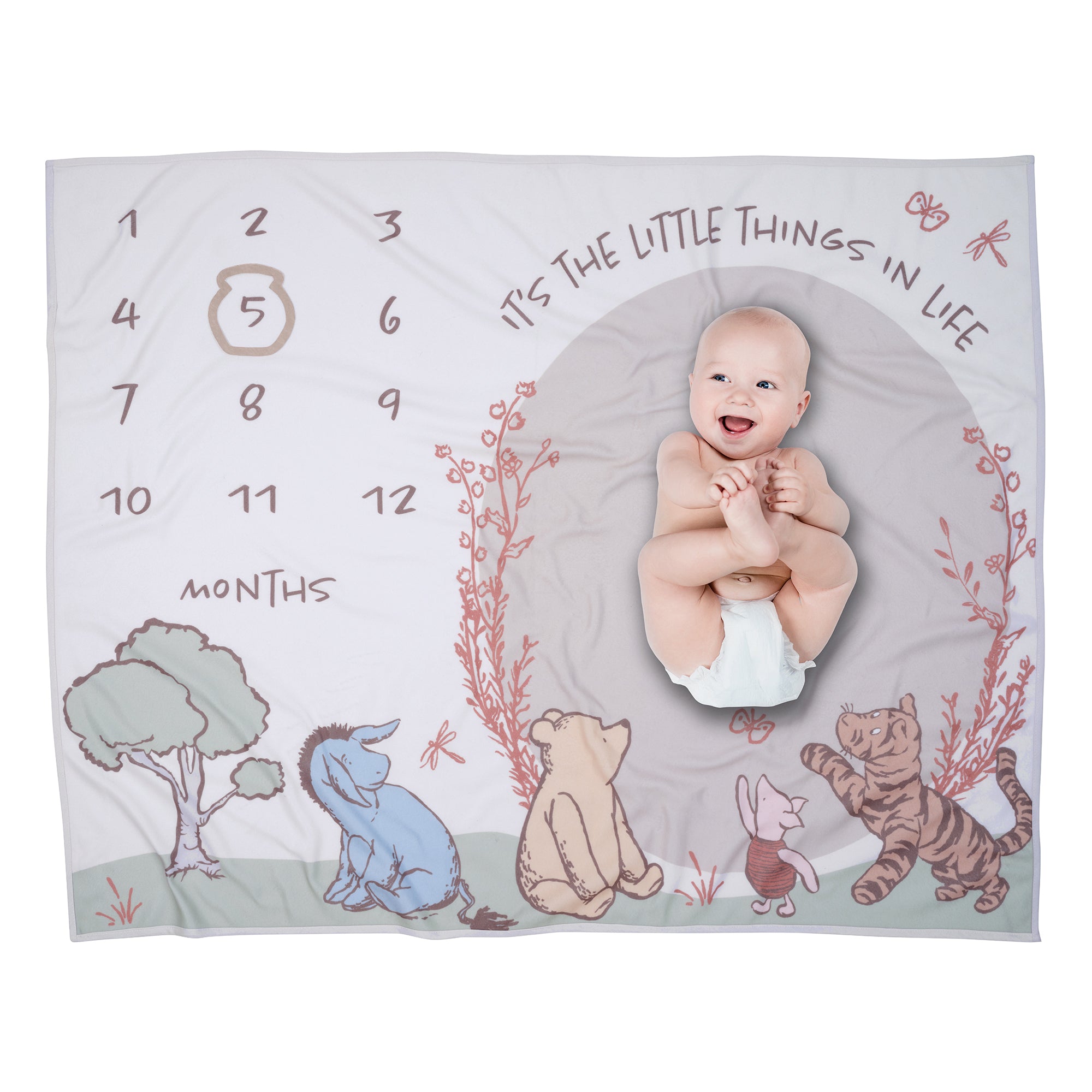 Pooh Bear & Pals Milestone Baby Blanket by Lambs & Ivy
