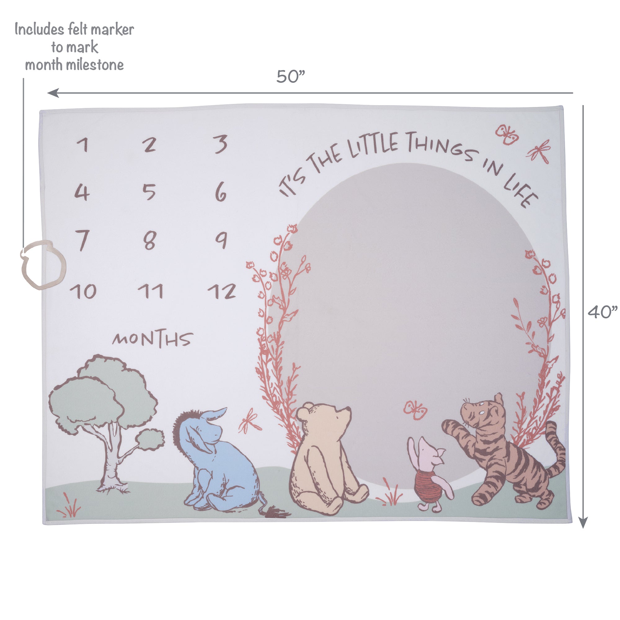 Pooh Bear & Pals Milestone Baby Blanket by Lambs & Ivy