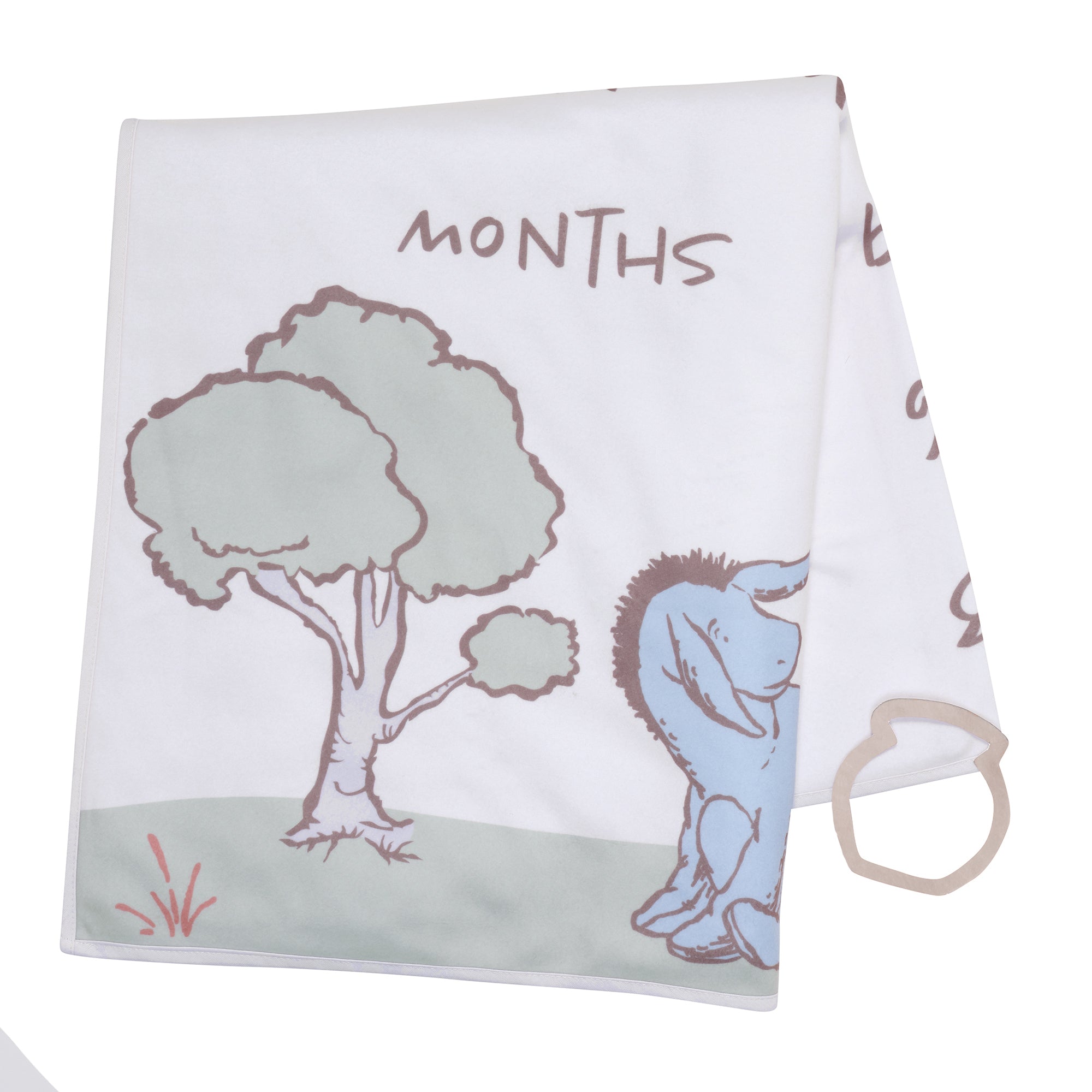 Pooh Bear & Pals Milestone Baby Blanket by Lambs & Ivy
