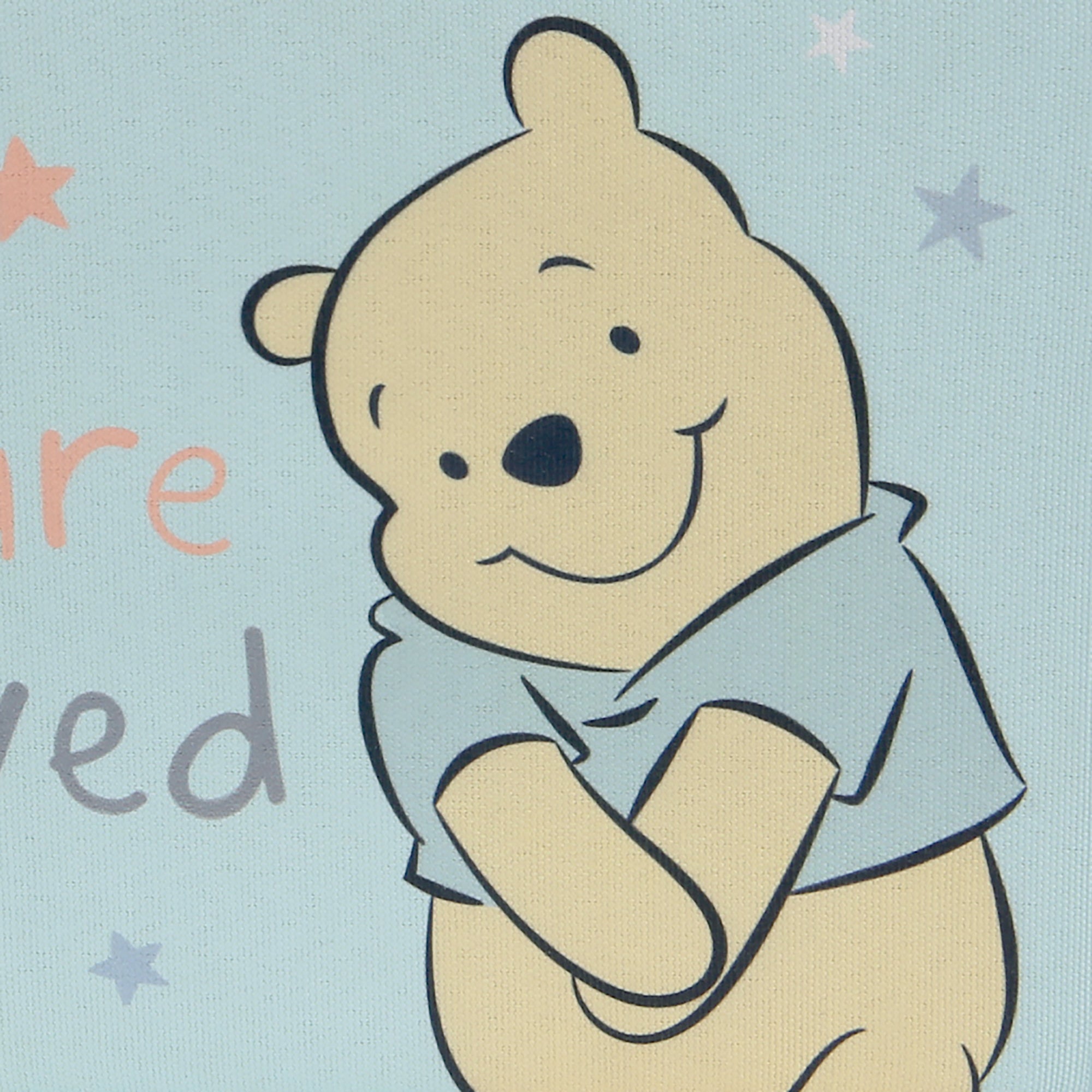 Winnie the Pooh Foldable Storage Basket by Lambs & Ivy