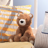 Sierra Sky Plush Bear - Wally by Lambs & Ivy