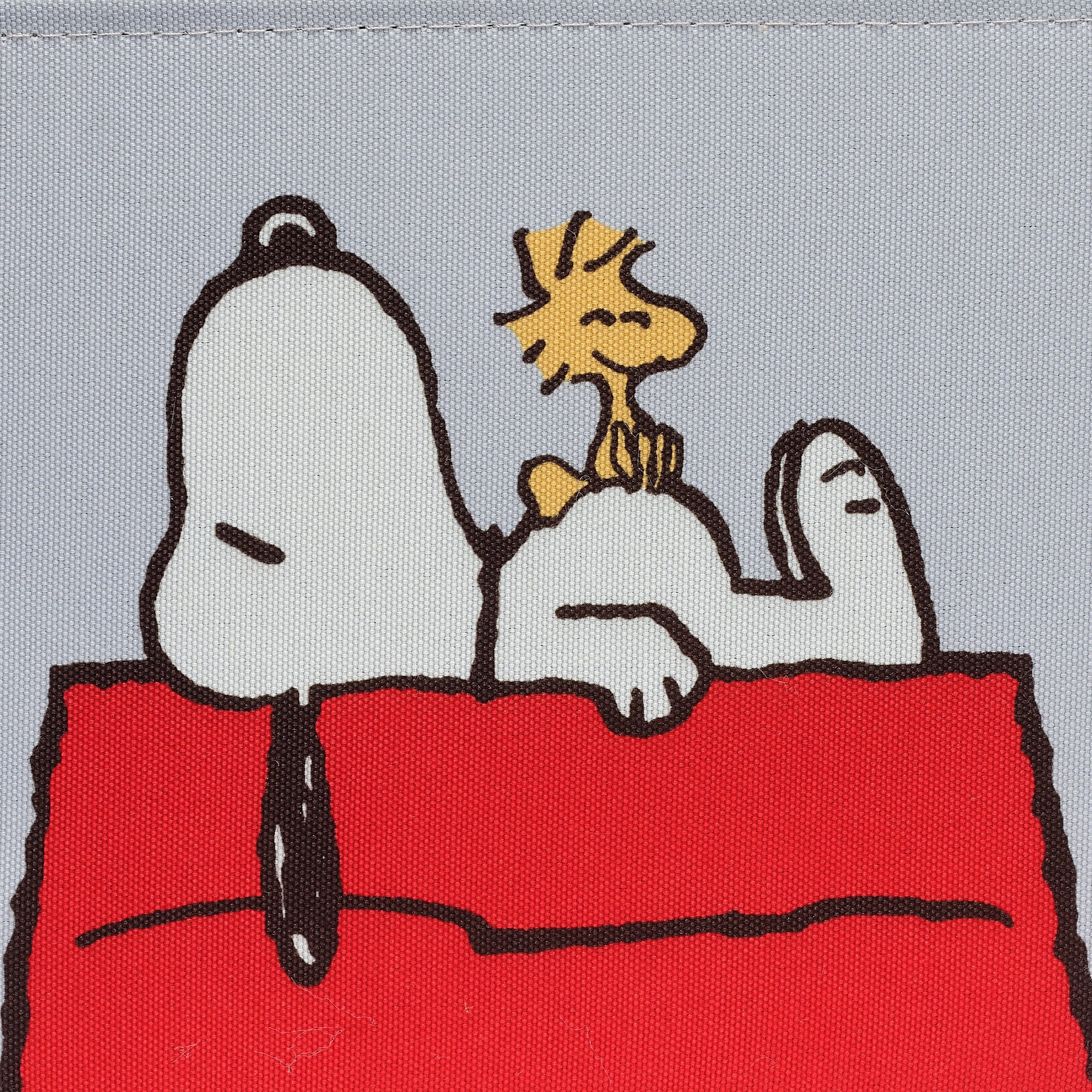 Snoopy Foldable/Collapsible Storage Bin/Basket Organizer w