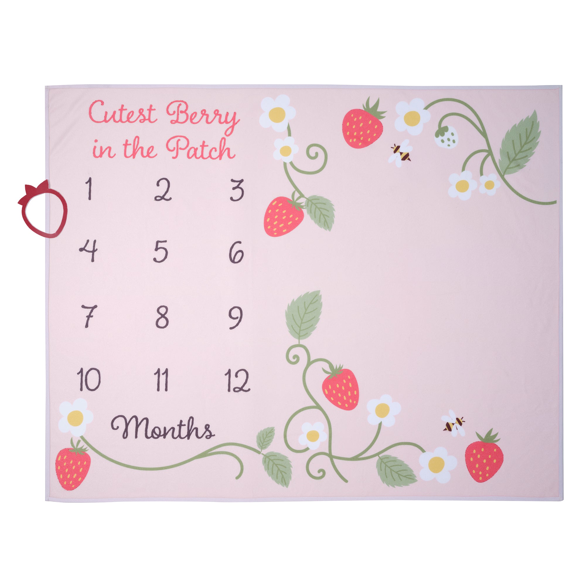 Strawberry Patch Milestone Baby Blanket by Lambs & Ivy