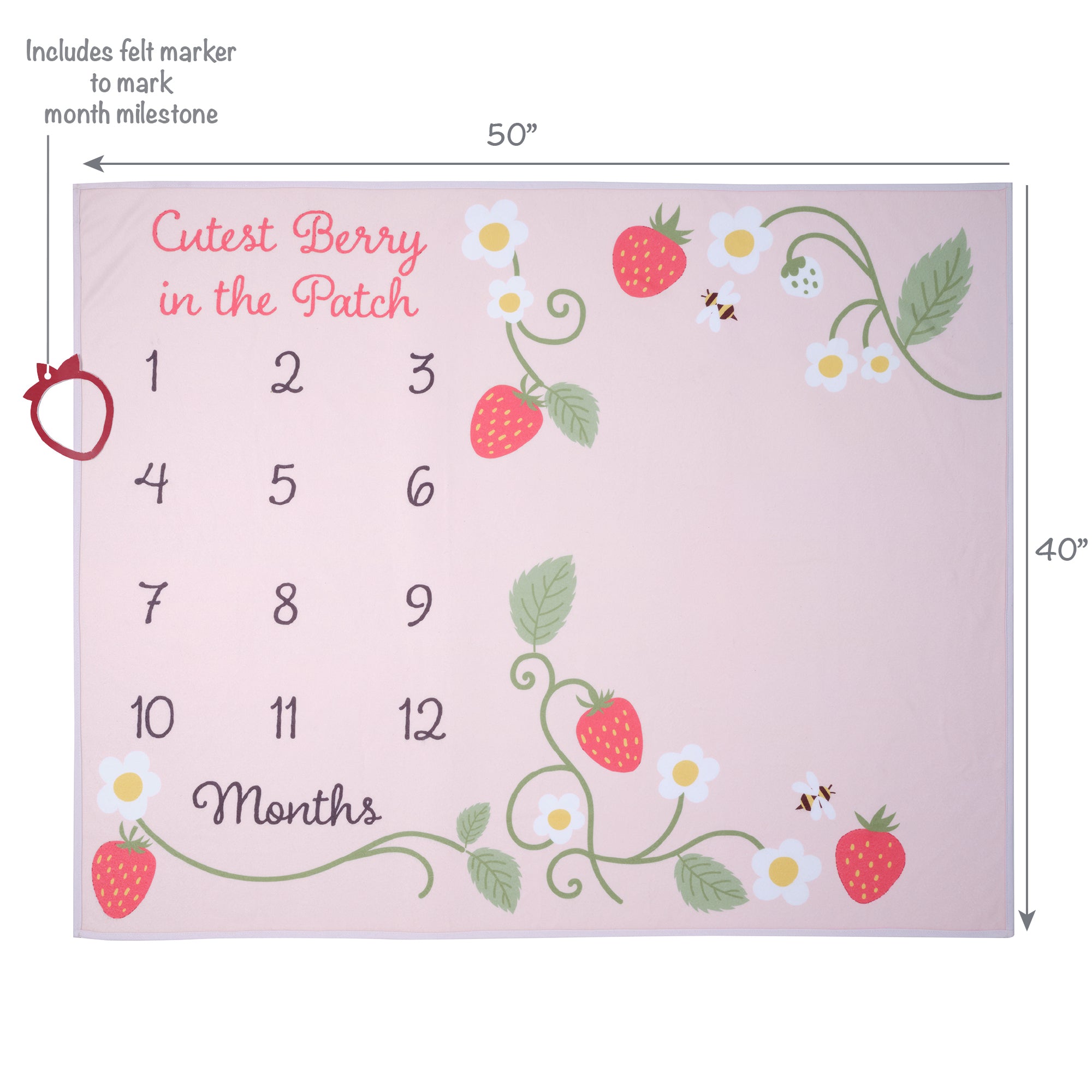 Strawberry Patch Milestone Baby Blanket by Lambs & Ivy