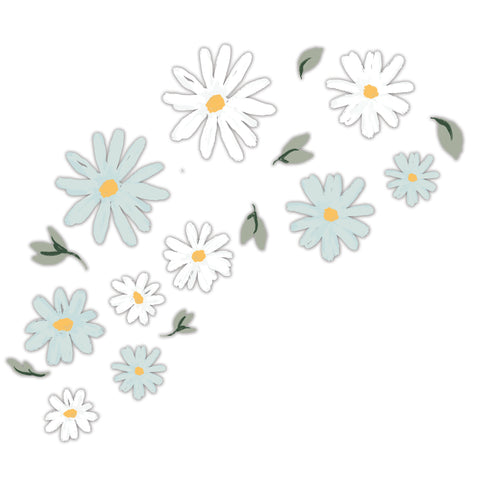 Sweet Daisy Wall Decals by Lambs & Ivy